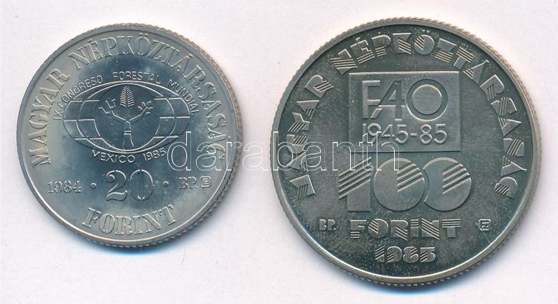 1984. 20Ft Cu-Ni 'FAO - Védd az erdőt' + 1985. 100Ft Cu-Ni 'FAO' T:BU patina Adamo EM80, EM91 - Image 2