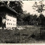 Tornyospálca, Forgách birtok, méhes. photo (EK)