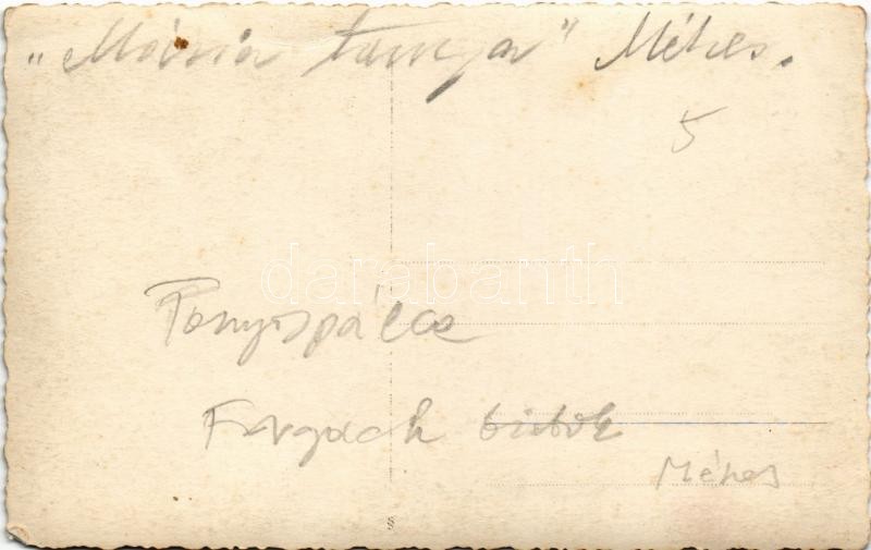 Tornyospálca, Forgách birtok, méhes. photo (EK) - Image 2