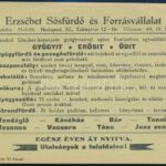 cca 1930 Bp., Erzsébet Sósfürdő és Forrásvállalat kedvezményes utalvány - Image 2