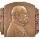 Osztrák-Magyar Monarchia 1915. 'FM. EHG. FRIEDRICH (Frigyes Főherceg Tábornagy)' bronz sapkajelvény. Szign.: Marschall (32x43mm) T:1- / Austro-Hungarian Monarchy 1915. 'FM. EHG. FRIEDRICH (Feldmarschall Archduke Friedrich) ' bronze cap badge.