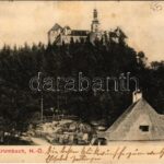1905 Krumbach, Schloß Krumbach / castle (fl)