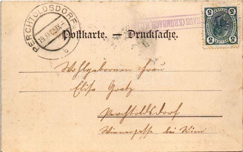 1905 Krumbach, Schloß Krumbach / castle (fl) - Image 2