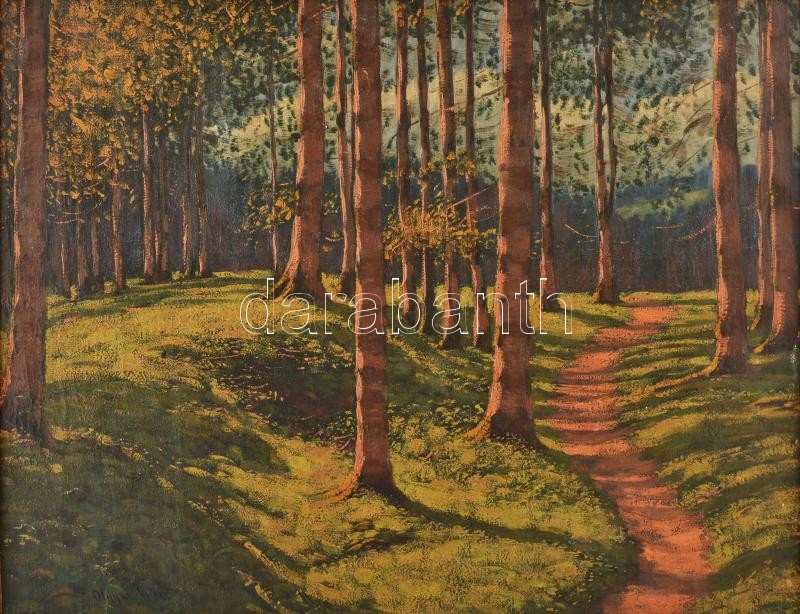 Olgyai Viktor (1870-1929): Napfényes erdő. Olaj, vászon, jelzett. Dekoratív, sérült fakeretben, 55,5×70,5 cm - Image 2