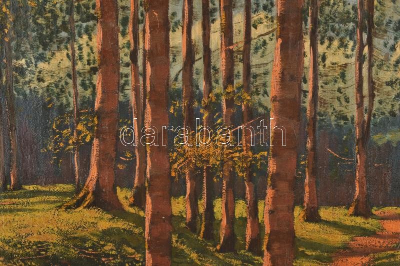 Olgyai Viktor (1870-1929): Napfényes erdő. Olaj, vászon, jelzett. Dekoratív, sérült fakeretben, 55,5×70,5 cm - Image 3