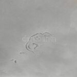 Szecessziós ón tál, jelzett, hibátlan, 23x18 cm - Image 4