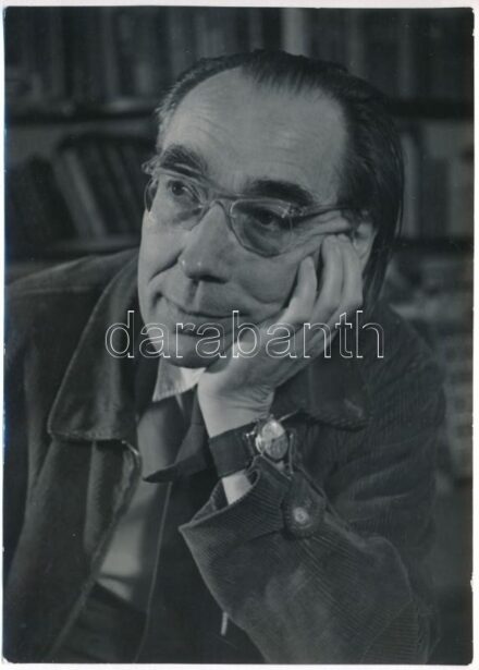 Szabó Lőrinc (1900-1957) Kossuth-díjas költő a könyvtárszobájában 1956 nyarán, hátoldalán feliratozott ('Szabó Lőrincné tulajdona') és pecséttel jelzett fotó, Várkonyi László felvétele, 18x12 cm