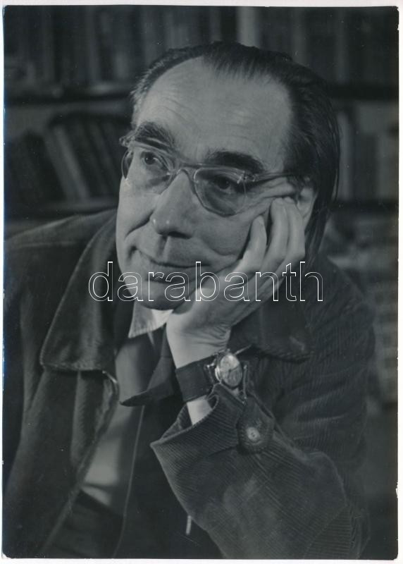 Szabó Lőrinc (1900-1957) Kossuth-díjas költő a könyvtárszobájában 1956 nyarán, hátoldalán feliratozott ('Szabó Lőrincné tulajdona') és pecséttel jelzett fotó, Várkonyi László felvétele, 18x12 cm