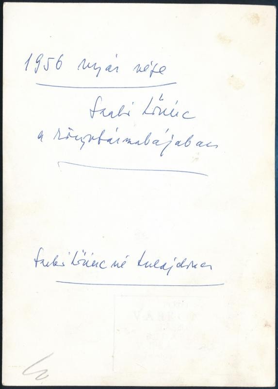 Szabó Lőrinc (1900-1957) Kossuth-díjas költő a könyvtárszobájában 1956 nyarán, hátoldalán feliratozott ('Szabó Lőrincné tulajdona') és pecséttel jelzett fotó, Várkonyi László felvétele, 18x12 cm - Image 2