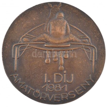 1981. 'I. Díj 1981 Amatőrverseny' egyoldalas bronz fogathajtó díjérem (87mm) T:2