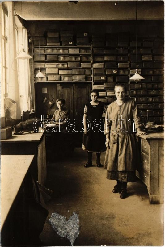 Lviv, Lwów, Lemberg (?); office with ladies. photo (vágott / cut)