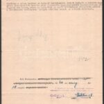 1948 Elévülés miatt visszautasított kérelem, amelyben egy 1945. szeptemberi felrobbant kézigránát okozott sérüléseket a kérelmezőnek - Image 2