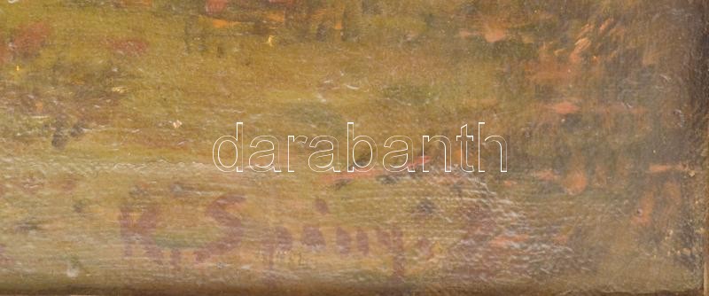 K. Spányi Béla (1852-1914): Gólyák. Olaj, vászon 70x100 cm Jelezve jobbra lent: K. Spányi B. Dekoratív, sérült, korabeli keretben. / oil on canvas, signed lower right, framed - Image 2