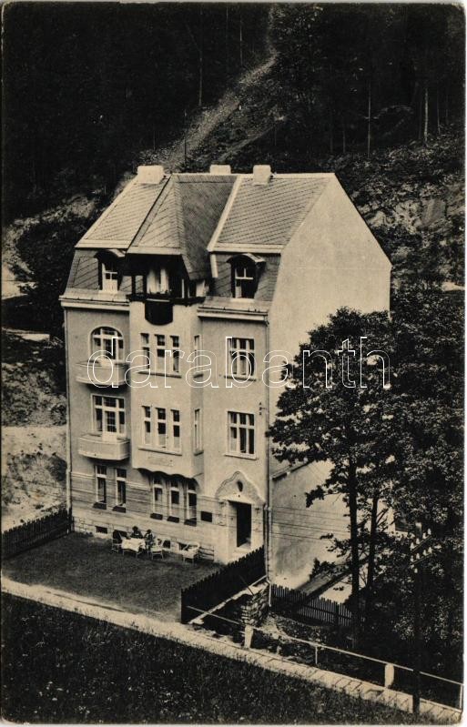 Jáchymov, Sankt Joachimsthal; Haus Tannhof / hotel, villa (EK)