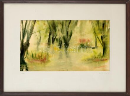 Olvashatatlan jelzéssel: Ártér. Akvarell, papír, jelzett. Üvegezett fakeretben, 23,5×42,5 cm
