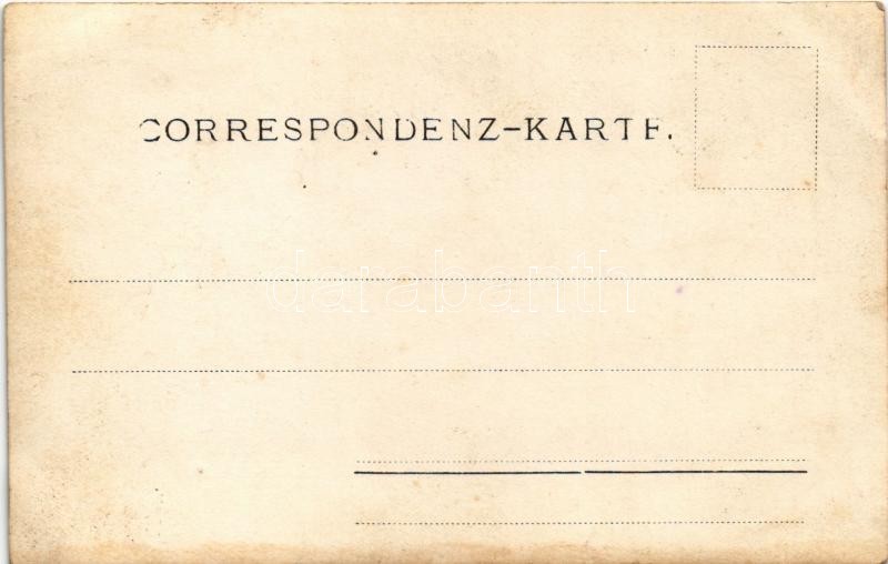 1903 Sollenau, wedding. photo (EK) - Image 2