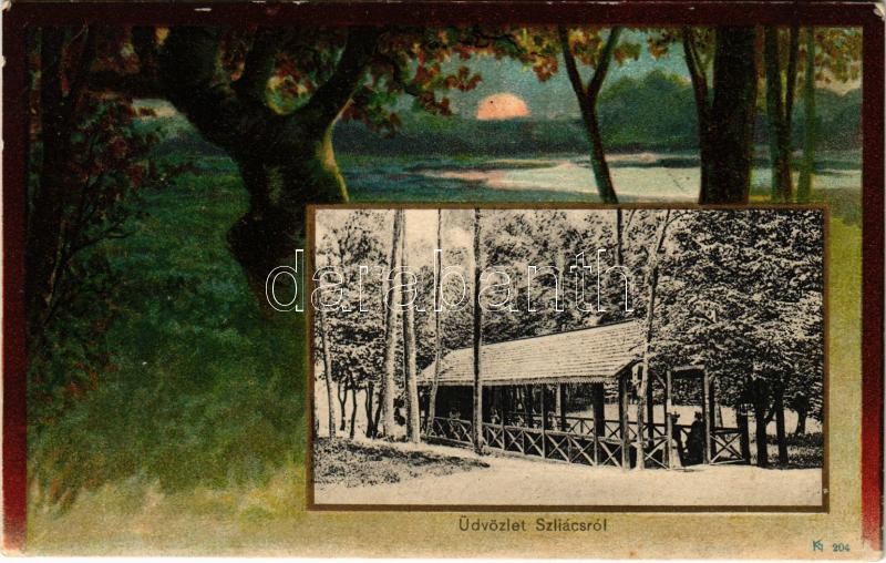 1902 Szliács, Sliac; Szecessziós erdős litho keret / Art Nouveau, forest litho