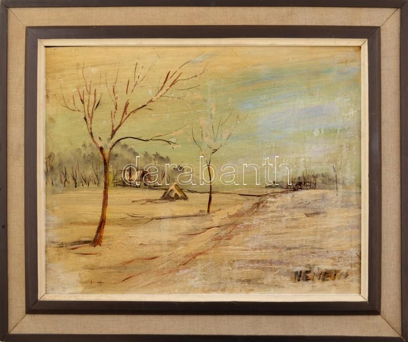 Németh jelzéssel: Téli táj. Olaj, farost. Dekoratív fakeretben. 36x48 cm