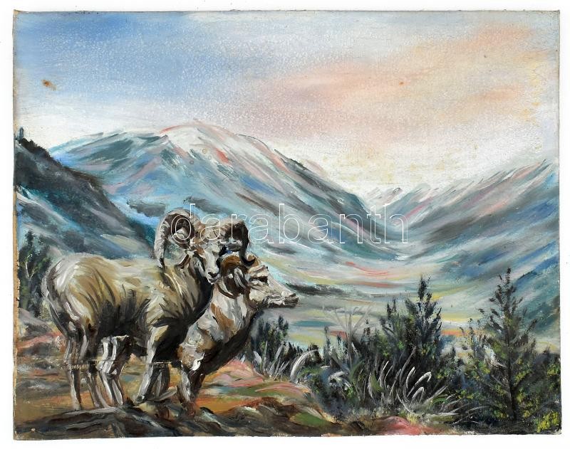 Jelzés nélkül: Hegyi táj muflonokkal. Olaj, vászon, kartonon, 28x36 cm