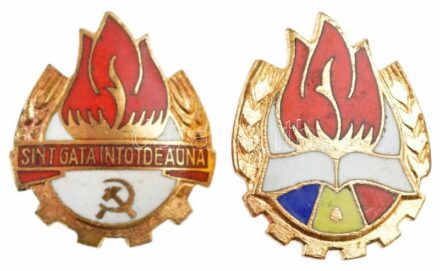 Románia ~1950. 'Mindig készenlétben' aranyozott, zománcozott úttörőjelvény + ~1960. aranyozott, zománcozott úttörőjelvény T:2 Romania ~1950. 'Sint gata intotdeauna' gilt, enamelled pioneer badge + ~1960. gilt, enamelled pioneer badge