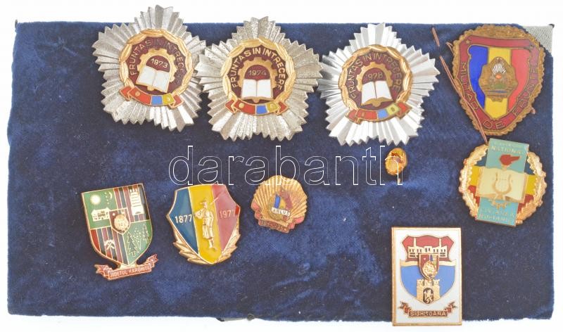 Románia 10xklf jelvénytétel, közte DN 'Hargita megye' aranyozott, zománcozott fém jelvény + 1977. 'Függetlenségi háború 100. évfordulója' aranyozott, zománcozott fém jelvény T:1-2- közte sérült Romania 10xdiff badge lot, within