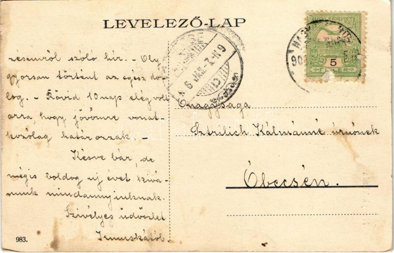 1906 Nagykikinda, Kikinda; Városház, Angner A. m. kir. dohány nagy és különlegességi áruda, Pentz Miklós üzlete / town hall, shops (EK) - Image 2