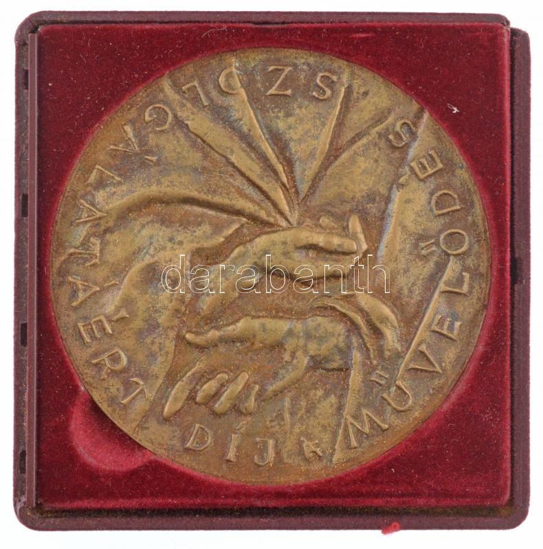 Árvai Ferenc (1935-2004) (?) DN 'Művelődés Szolgálatáért Díj' egyoldalas bronz plakett sérült bordó színű tokban (80mm) T:2 patina