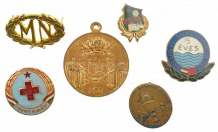 6db klf kitűző, jelvény tétel, közte Madarassy Walter (1909-1994) 1938. 'XXXIV. Nemzetközi Eucharisztikus Kongresszus Budapest' bronz kitűző + 'Vöröskereszt - Érdemes Munkáért' zománcozott fém jelvény + ~1970-1980. 'Vízügyi