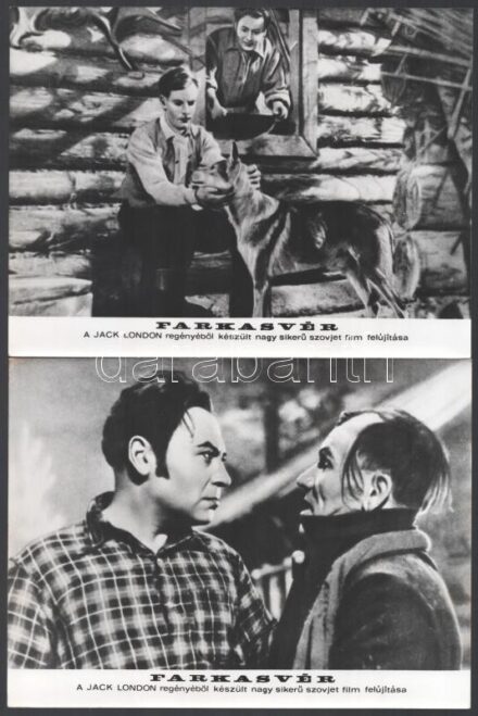 cca 1972 Jack London regényéből készült, ,,Farkasvér' című szovjet film jelenetei és szereplői, 11 db vintage produkciós filmfotó, ezüst zselatinos fotópapíron, a használatból eredő (esetleges) kisebb hibákkal, 18x24 cm