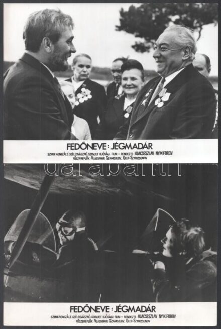 cca 1973 ,,Fedőneve: Jégmadár' című szovjet film jelenetei és szereplői, 19 db vintage produkciós filmfotó, ezüst zselatinos fotópapíron, a használatból eredő (esetleges) kisebb hibákkal, 18x24 cm