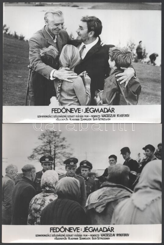 cca 1973 ,,Fedőneve: Jégmadár' című szovjet film jelenetei és szereplői, 19 db vintage produkciós filmfotó, ezüst zselatinos fotópapíron, a használatból eredő (esetleges) kisebb hibákkal, 18x24 cm - Image 3