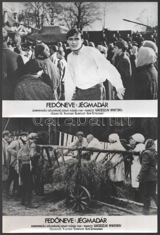 cca 1973 ,,Fedőneve: Jégmadár' című szovjet film jelenetei és szereplői, 19 db vintage produkciós filmfotó, ezüst zselatinos fotópapíron, a használatból eredő (esetleges) kisebb hibákkal, 18x24 cm - Image 4