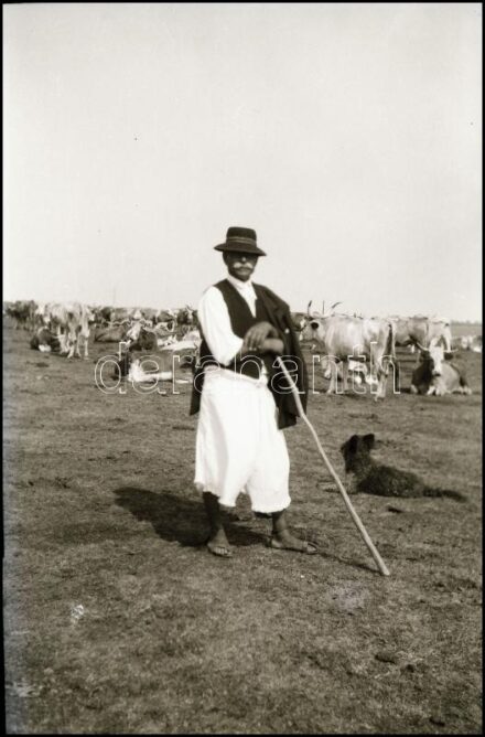 cca 1950-es években készített felvételek, Bodnár István fehérgyarmati fényképész hagyatékából 13 db vintage NEGATÍV sokféle témáról, 6x9 cm és 6x6 cm
