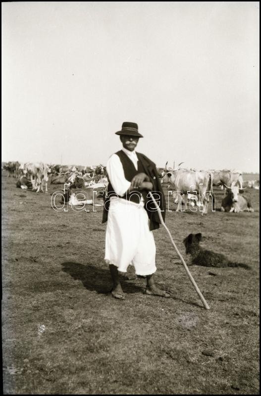 cca 1950-es években készített felvételek, Bodnár István fehérgyarmati fényképész hagyatékából 13 db vintage NEGATÍV sokféle témáról, 6x9 cm és 6x6 cm