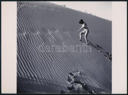 cca 1978 Vincze János (1922-1999) kecskeméti fotóművész hagyatékából 1 db vintage NEGATÍV (6x6 cm) és az erről készült modern nagyítás, 18x24 cm
