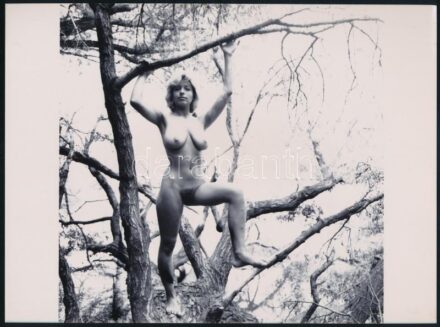 cca 1986 Menesdorfer Lajos (1941-2005) budapesti fotóművész hagyatékából 1 db vintage NEGATÍV (6x6 cm) és az erről készült modern nagyítás, 17,7x24 cm