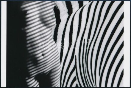 cca 1975 Zebracsíkos volt a divat, ismeretlen szerzőtől 1 db mai nagyítás, 10x15 cm