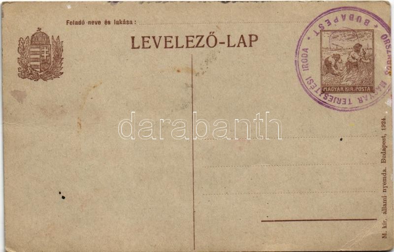 Kézzel festett művészlap / Hand-painted art postcard + 'Országos Magyar Terjesztési Iroda Budapest' (EB) - Image 2