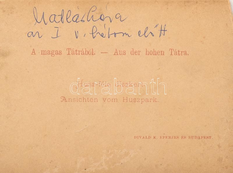 cca 1890-1900 Magastátra (Vysoké Tatry), Matlárháza, Husz-féle díszkert, keményhátú fotó, Divald Károly Eperjes-Bp., hátoldalán feliratozva, sérült, 16x11 cm - Image 2