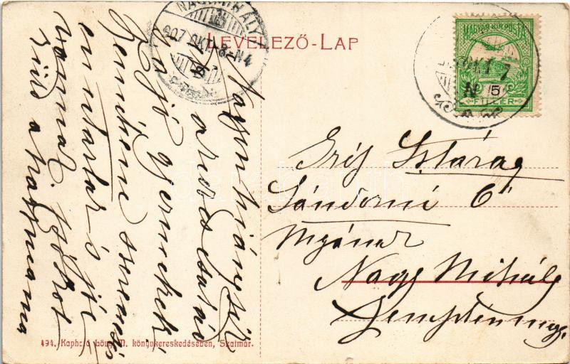 1907 Szatmárnémeti, Satu Mare; Deák tér, Mertz István, Lengyel Imre és Halász Mór üzlete / square, shops - Image 2