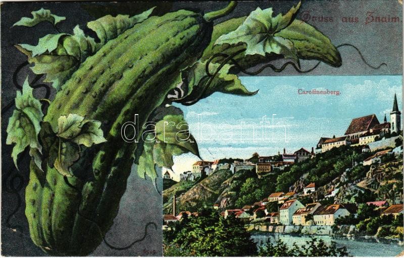 1906 Znojmo, Znaim; Carolinenberg. Verlag Josef Wondratsch. Montage with giant cucumber (EB)