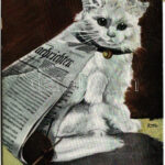 1903 Macska újsággal / Cat with 'Nachrichten' newspaper. E.S.D. 872. (EK)