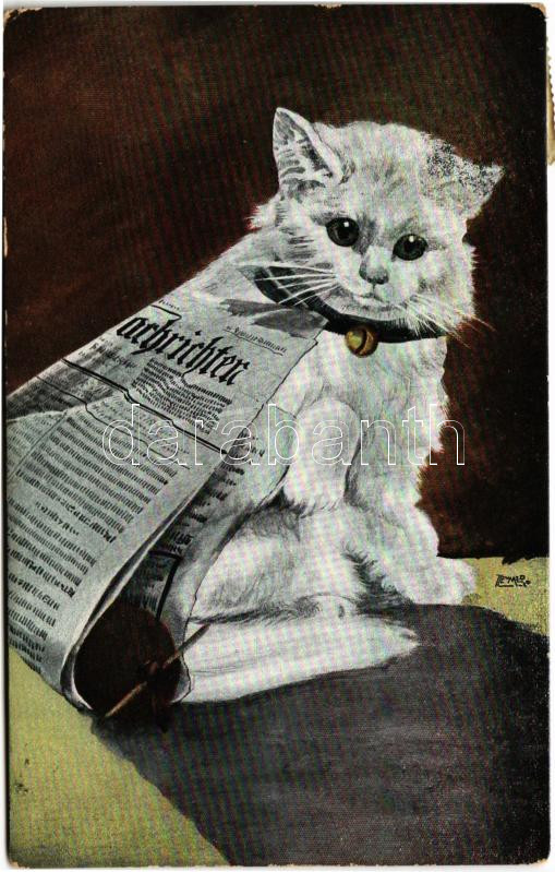 1903 Macska újsággal / Cat with 'Nachrichten' newspaper. E.S.D. 872. (EK)