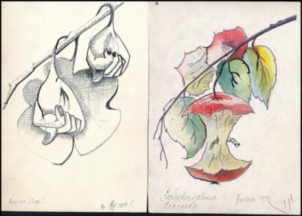 Barna András (?-): 11 db rajz (magyar füge, szabolcsi alma), 1994-97. Tus, ceruza, papír v. karton, mind jelzett. Hátoldalán a művész bélyegzőjével. 21×15 cm körüli méretekben. + A művész autográf levele amelyben felajánlja