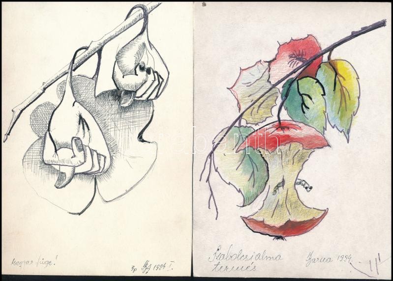 Barna András (?-): 11 db rajz (magyar füge, szabolcsi alma), 1994-97. Tus, ceruza, papír v. karton, mind jelzett. Hátoldalán a művész bélyegzőjével. 21×15 cm körüli méretekben. + A művész autográf levele amelyben felajánlja