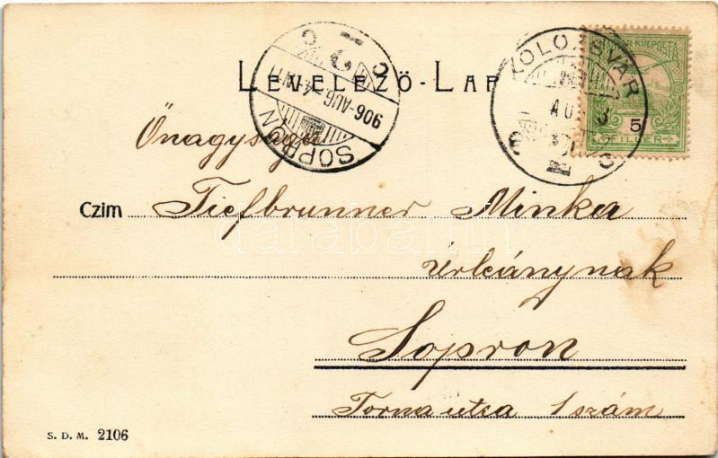 1906 Kolozsvár, Cluj; Karolina kórház, klinikák / hospital, clinics - Image 2