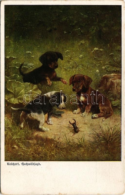 Hochwildjagd / dogs with stag beetle. G.G.W.II. Nr. 197. s: Reichert (EK)