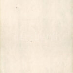 Meztelen erotikus hölgy neglizsében / Vintage erotic nude lady in negligee (non PC) - Image 2