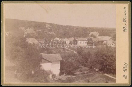 cca 1880 Wiener Neustadt, keményhátú fotó, 10,5×16,5 cm