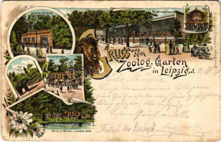1898 (Vorläufer) Leipzig, Gruss aus dem Zoolog. Garten, Bären-Zwinger, Raubthierhaus, Antilopen-Haus, Teich m. Büffel und Kameel Haus / zoo. Bruno Bürger u. Ottillie Art Nouveau, floral, litho (EB)